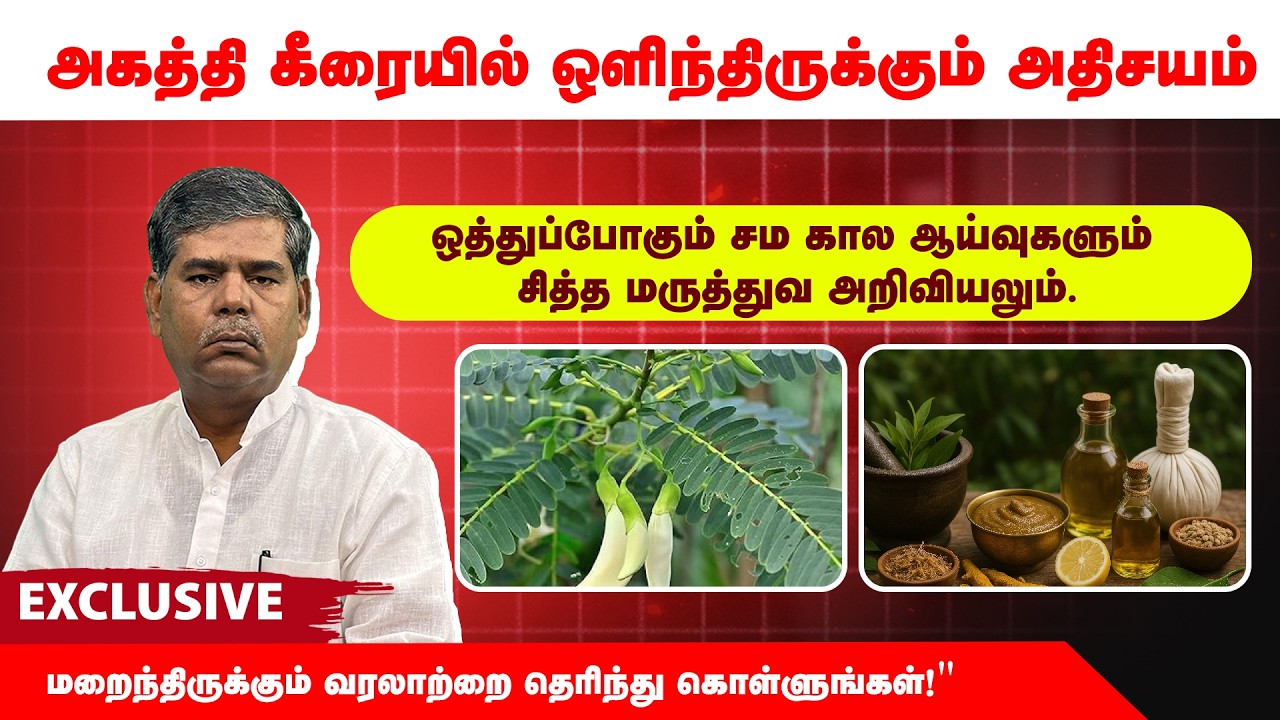 அகத்தி கீரையில் ஒளிந்திருக்கும் அதிசயம் | ஒத்துப்போகும் சம கால ஆய்வுகளும்  சித்த மருத்துவ அறிவியலும்