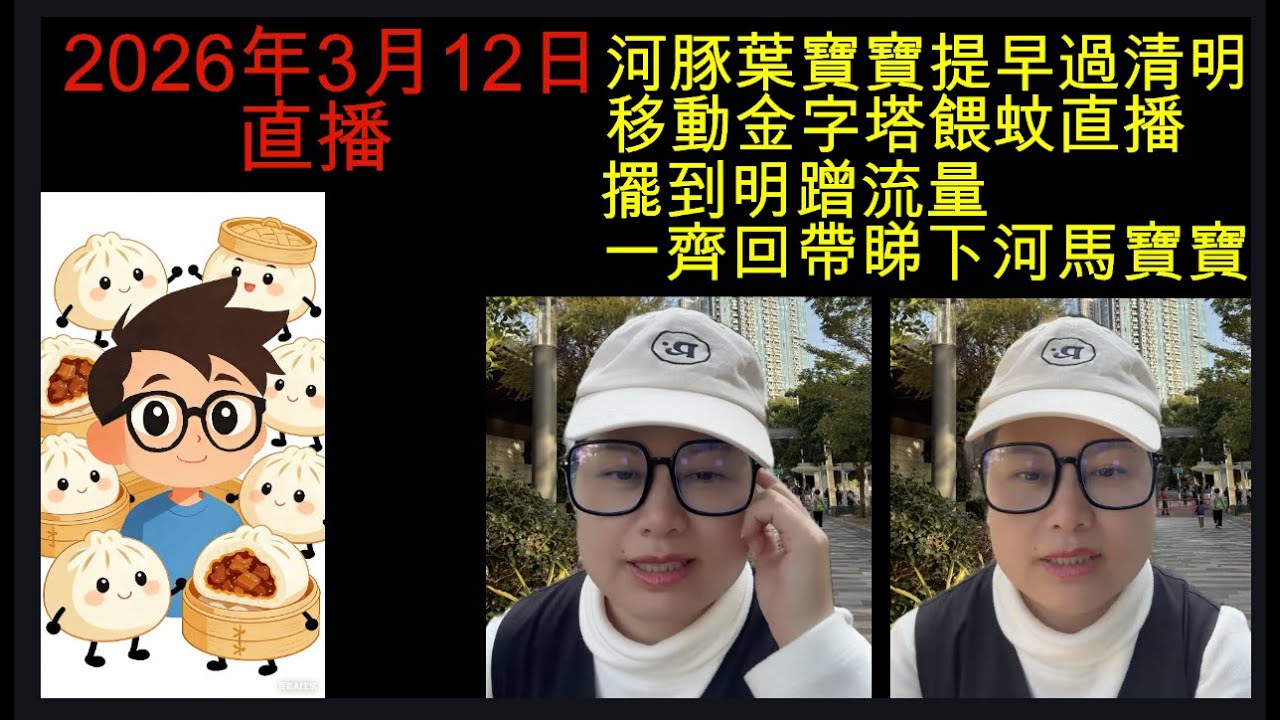 2026年3月12日直播！河豚葉寶寶提早過清明移動金字塔餵蚊直播 擺到明蹭流量一齊回帶睇下河馬寶寶邊睇片邊留言傾下計！