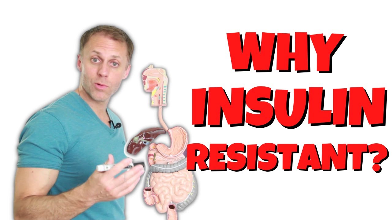 How We Become Insulin Resistant