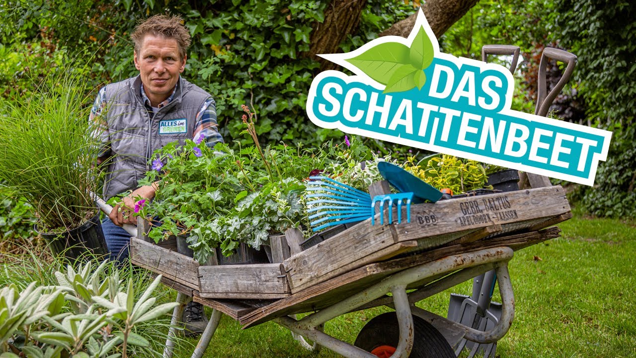 Der Schattengarten: Schattenbeete gestalten und anlegen