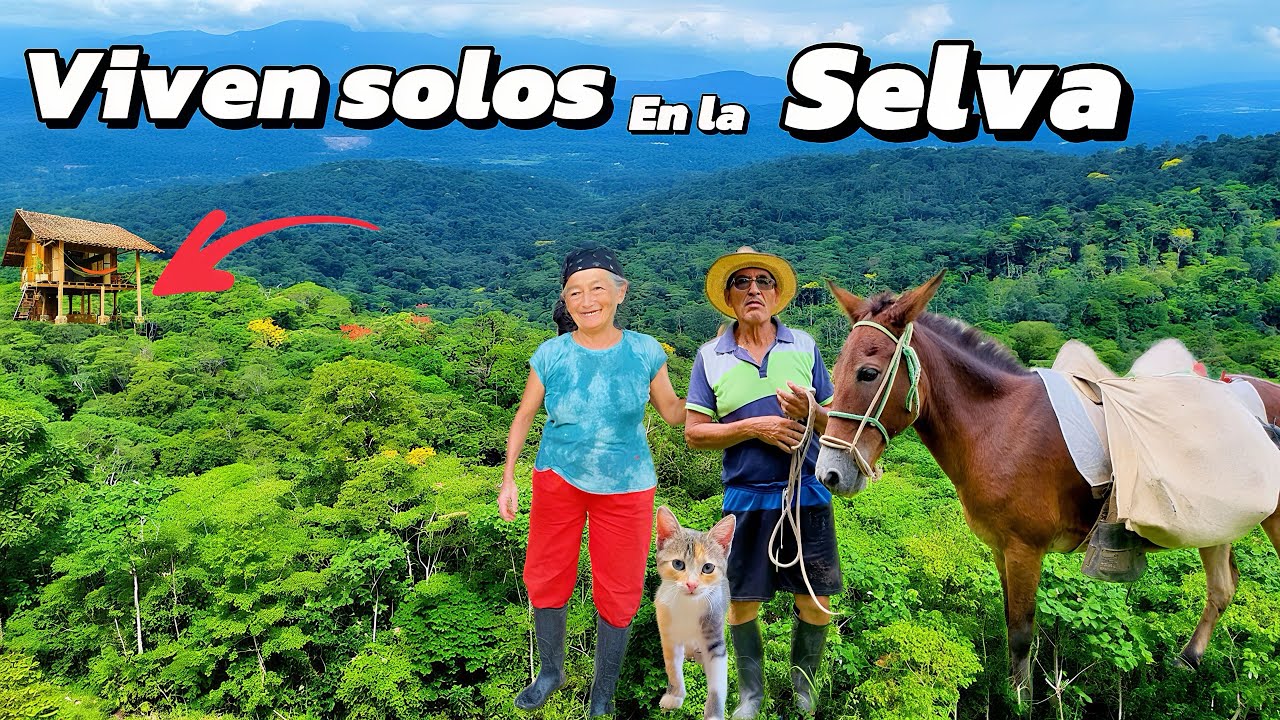 VIVEN  SOLOS en la selva AMAZÓNICA Ecuatoriana 