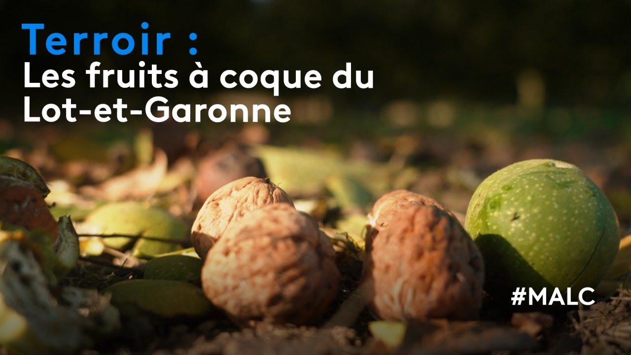 Terroir : les fruits à coque du Lot-et-Garonne