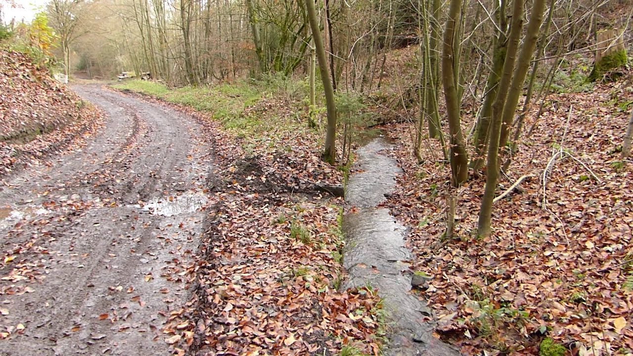 5 bzw. 2 Tage nach dem Regen &bull; Selbecker Bach (&raquo;Blaue Donau&laquo;) &bull; Ende November 2019
