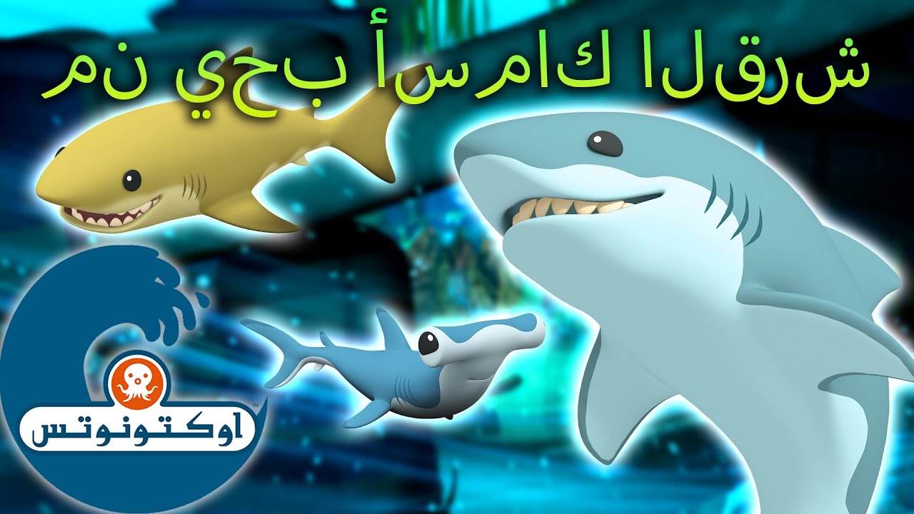 أوكتونوتس | 🦈😺من يحب أسماك القرش | إنه أسبوع القرش! 🦈😱 | حلقات مجمعة