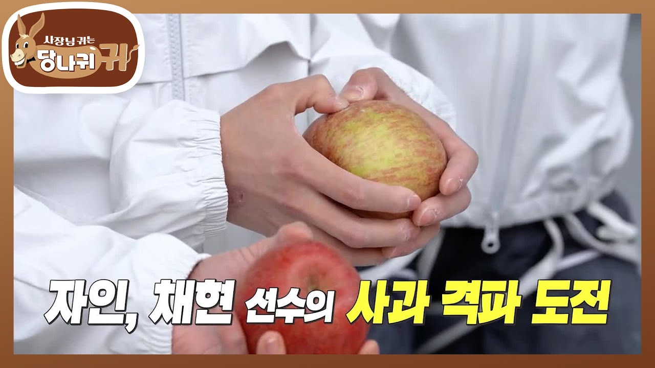 클라이밍 선수들의 악력 테스트💪🏻 사과쯤은 거뜬?🍎 [사장님 귀는 당나귀 귀/Boss in the Mirror] | KBS 240616 방송