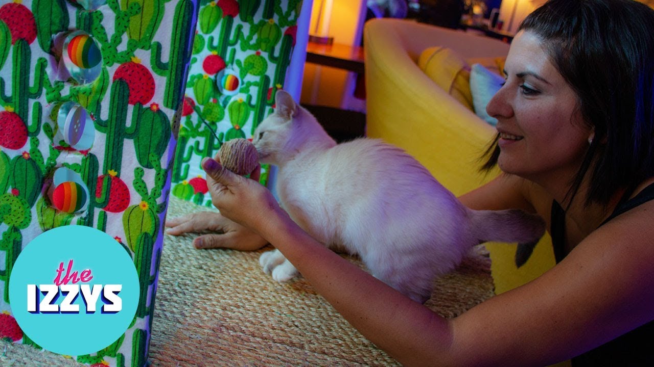 DIY Cat Castle AND TRAINS!?
