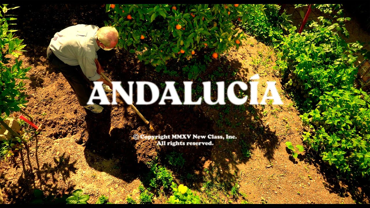 NEW CLASS - ANDALUCÍA (Video Oficial)