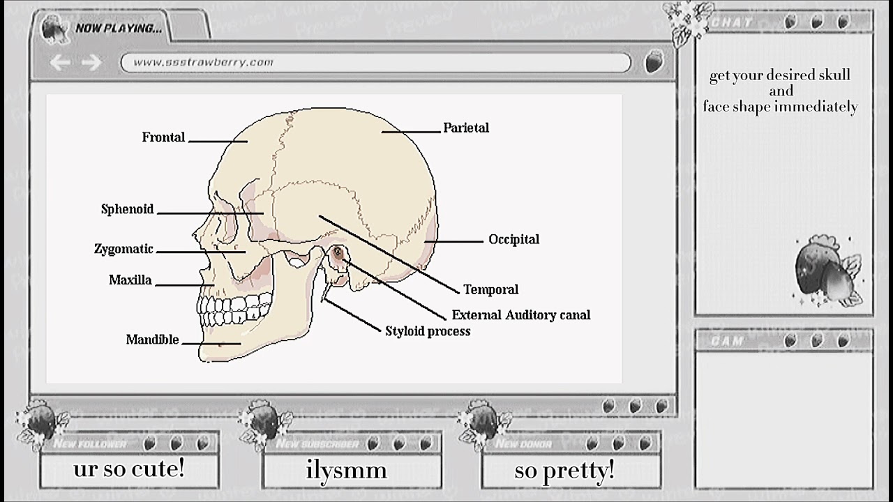 desired skull and face shape subliminal.