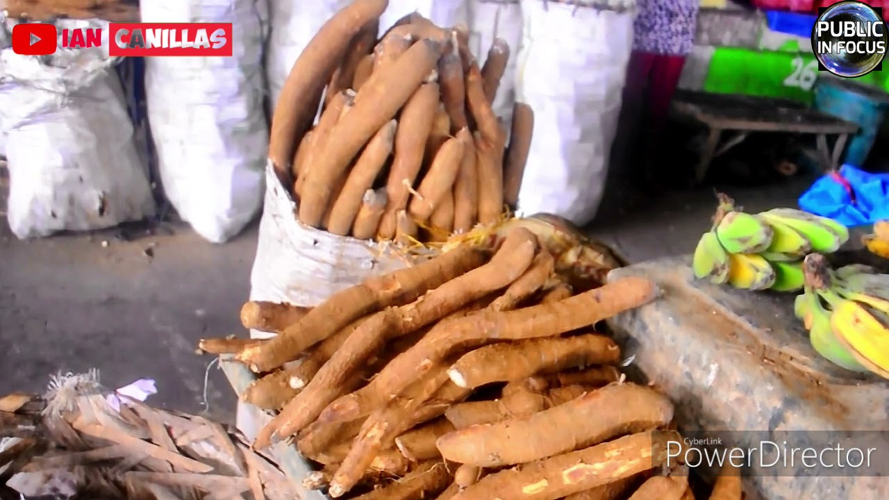PUBLIC IN ACTION: VISITING BURGOS PUBLIC MARKET AND WALKING THROUGH GALO STREET BACOLOD CITY 5.19.21