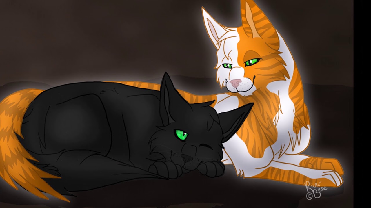 Warrior Cats Die 10 Süßesten Pärchen