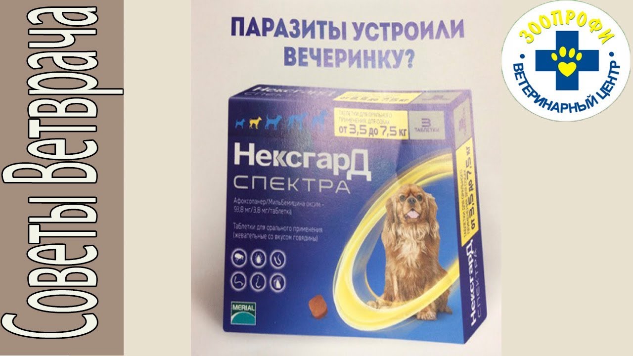 Нексгард Спектра Средство от Паразитов для Собак. Отличие Нексгарда от Бравекто