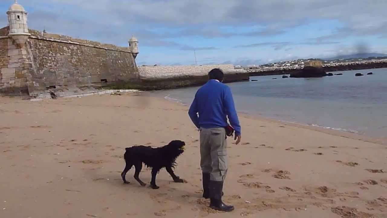 Sagres da Casa da Buba - firstl evel Water Trials  training