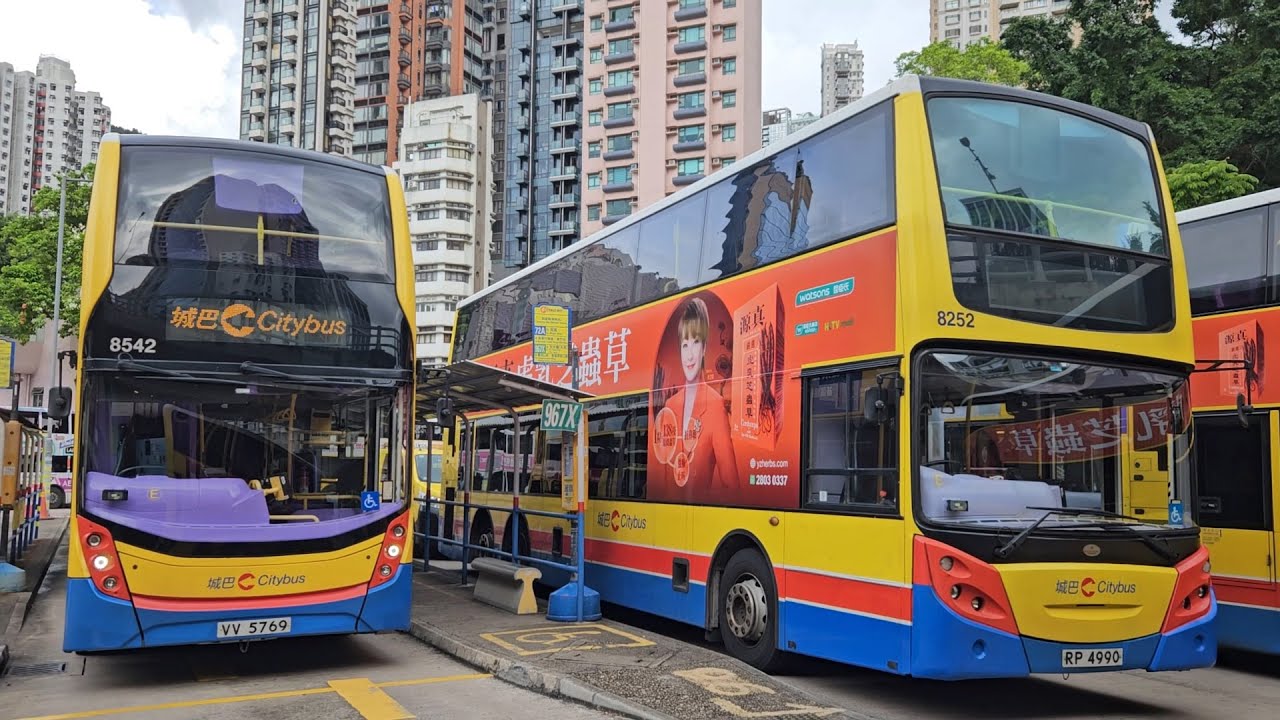 Hong Kong Bus CTB 8252 @ 72A 城巴 Alexander Dennis Enviro500 銅鑼灣(摩頓台) - 深灣