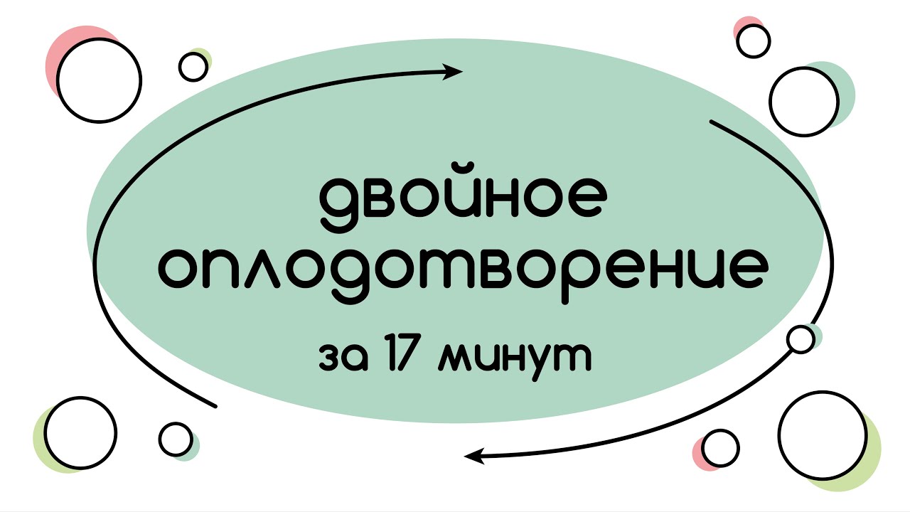 BioFamily: Двойное оплодотворение за 17 минут