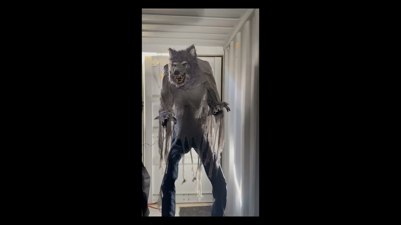 Animatronic Towering Halloween Grey Werewolf - Up For Auction