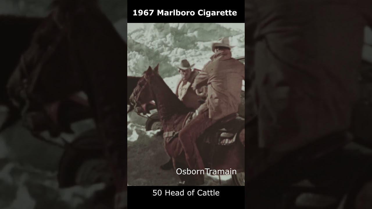 Реклама сигарет Marlboro 1967 года &mdash; 50 голов скота #marlboro #marlborocigarette #fordbronco