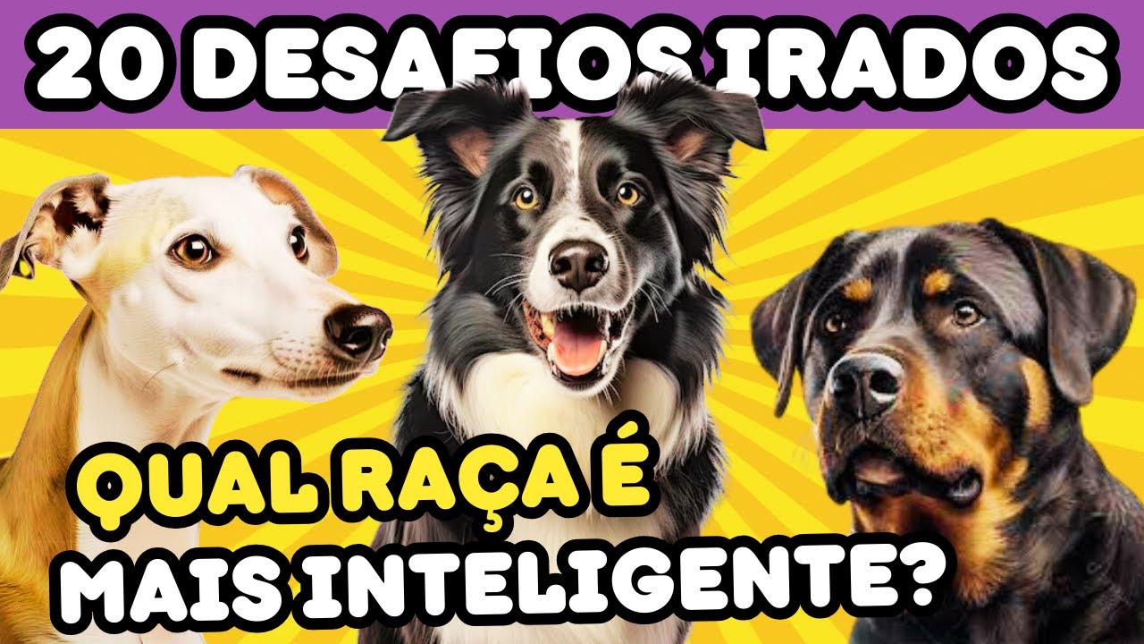🐾 DESAFIO CANINO | Teste Seu Conhecimento Sobre Cães e Suas Raças!