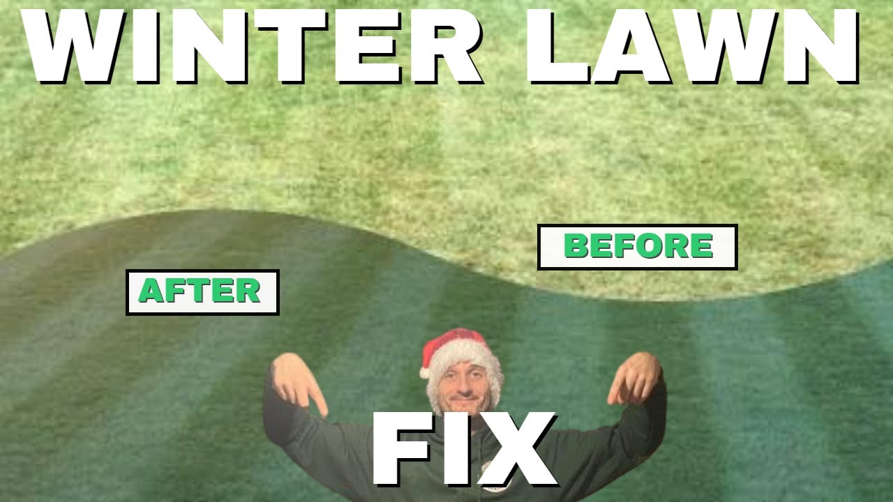 WINTER lawn FIX 2021 // EASY step by step guide