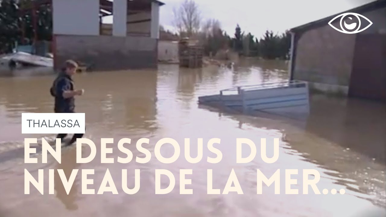 Vendée, un pays sous la mer - Thalassa
