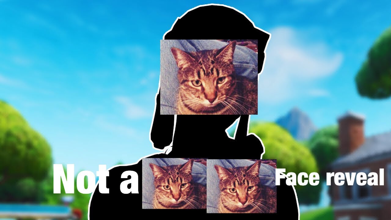 OMG! SF Fshy Not a cat cat Face Reveal ( NOBODY KNOWS )
