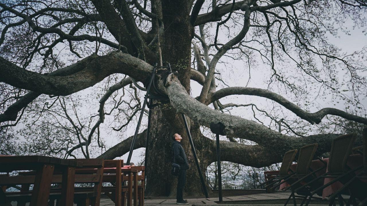 Ngaji Jomblo 09: Melamar (Khitbah)