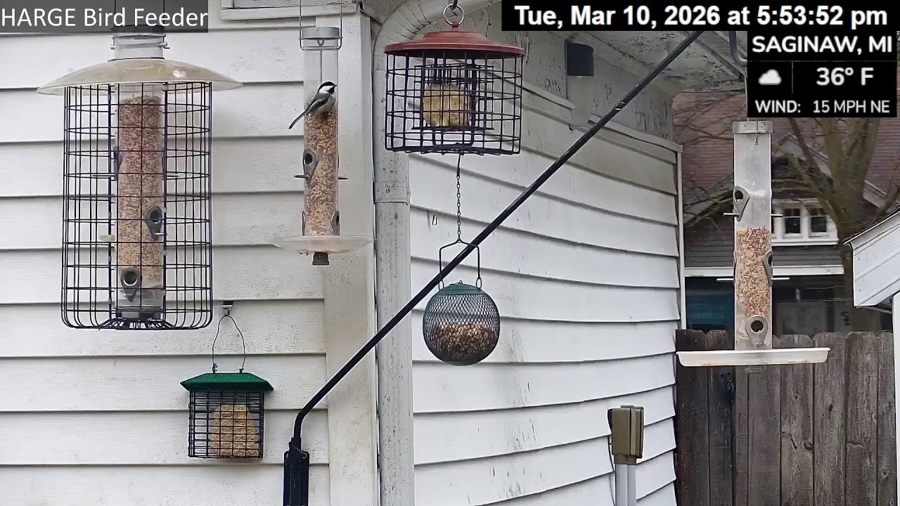 HARGE Bird Feeder