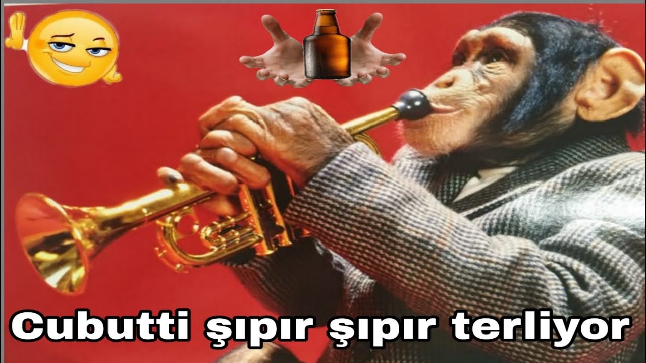 Şıpır cubutti izlemeyen pişman!