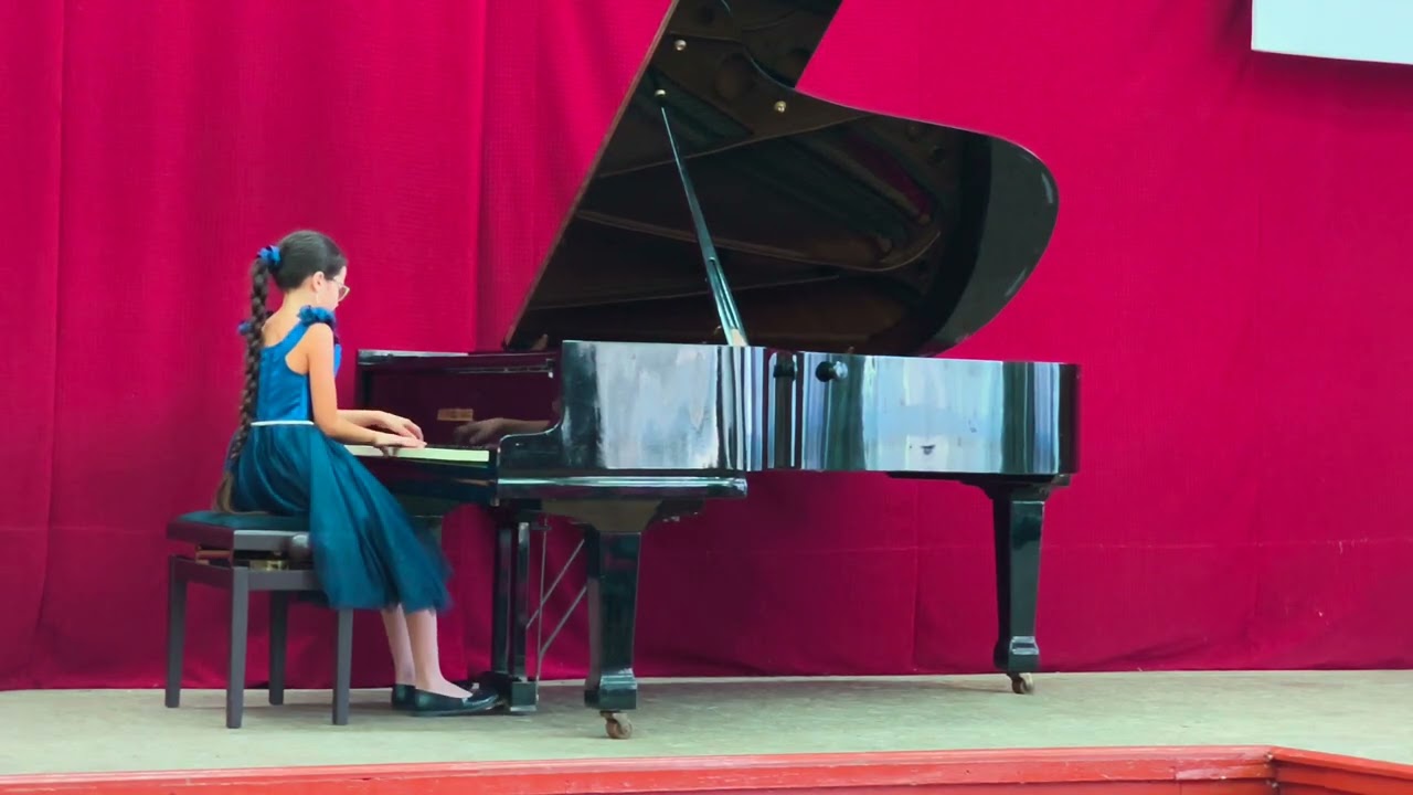 ANASTASIA BRAGA - Alexandru Sochireanschi – “Veselia”