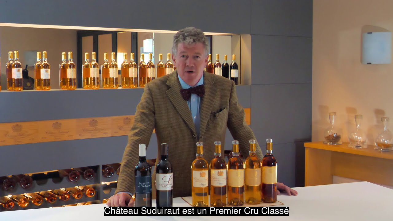 Discover Château Suduiraut • English/French