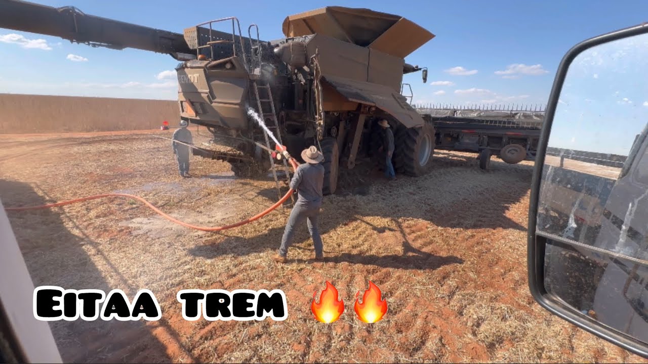 Ep 321  Terceiro dia de colheita com as BRUTAS !! Fendt classe 8 e 9 .