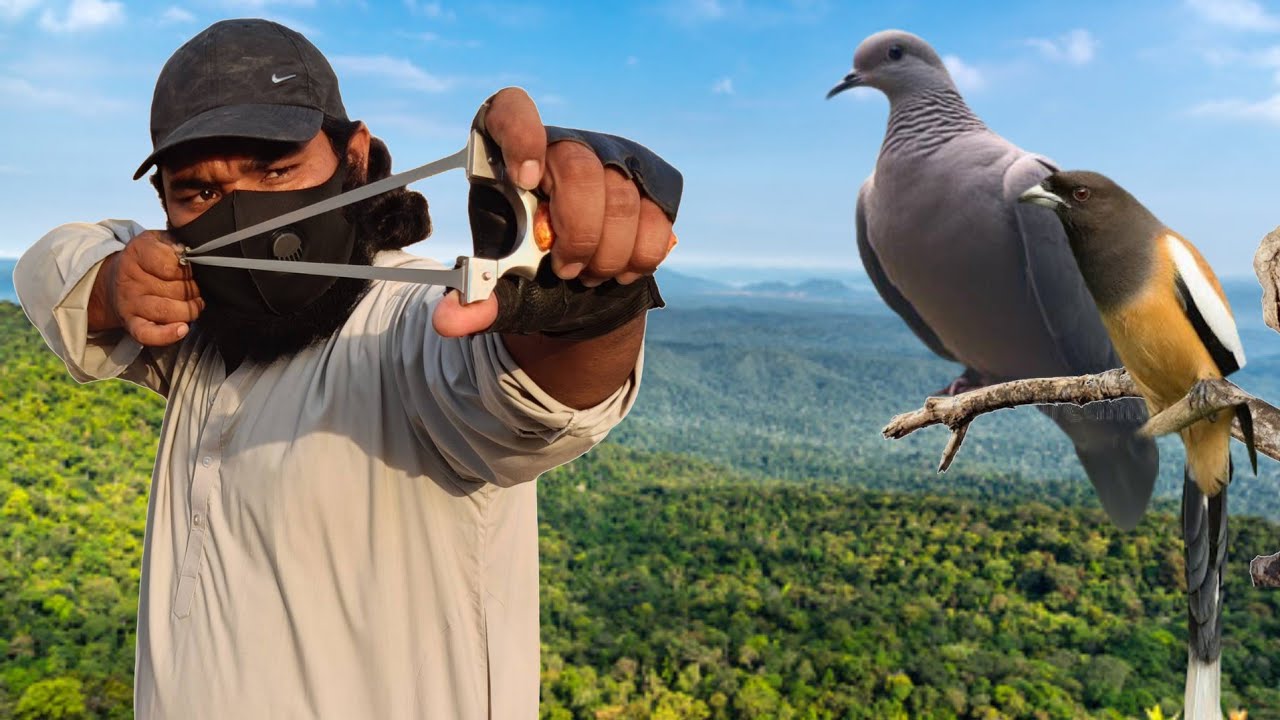 Extreme Slingshot Bird Hunting!