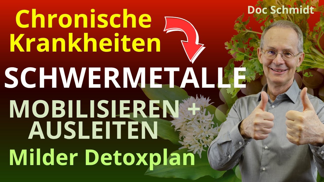 Schwermetalle mobilisieren + ausleiten. Milder Detoxplan bei chronischen Krankheiten + zur Vorsorge.