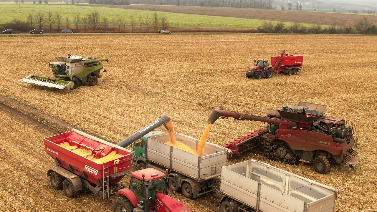 CASE IH Axial Flow 9250 & CLAAS Lexion 770 / Corn Harvest 2021🌽/ Rostěnice, a.s. (1/2) (4K)