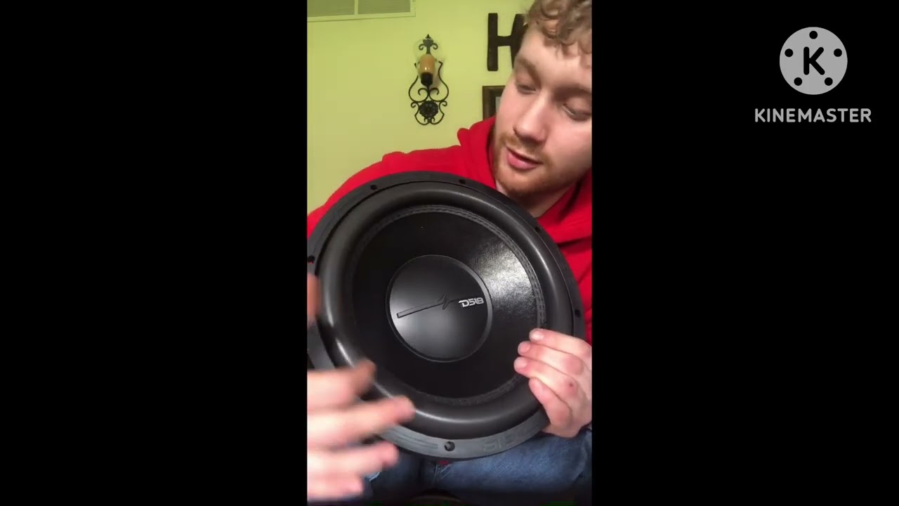 NEW DS18 subwoofer