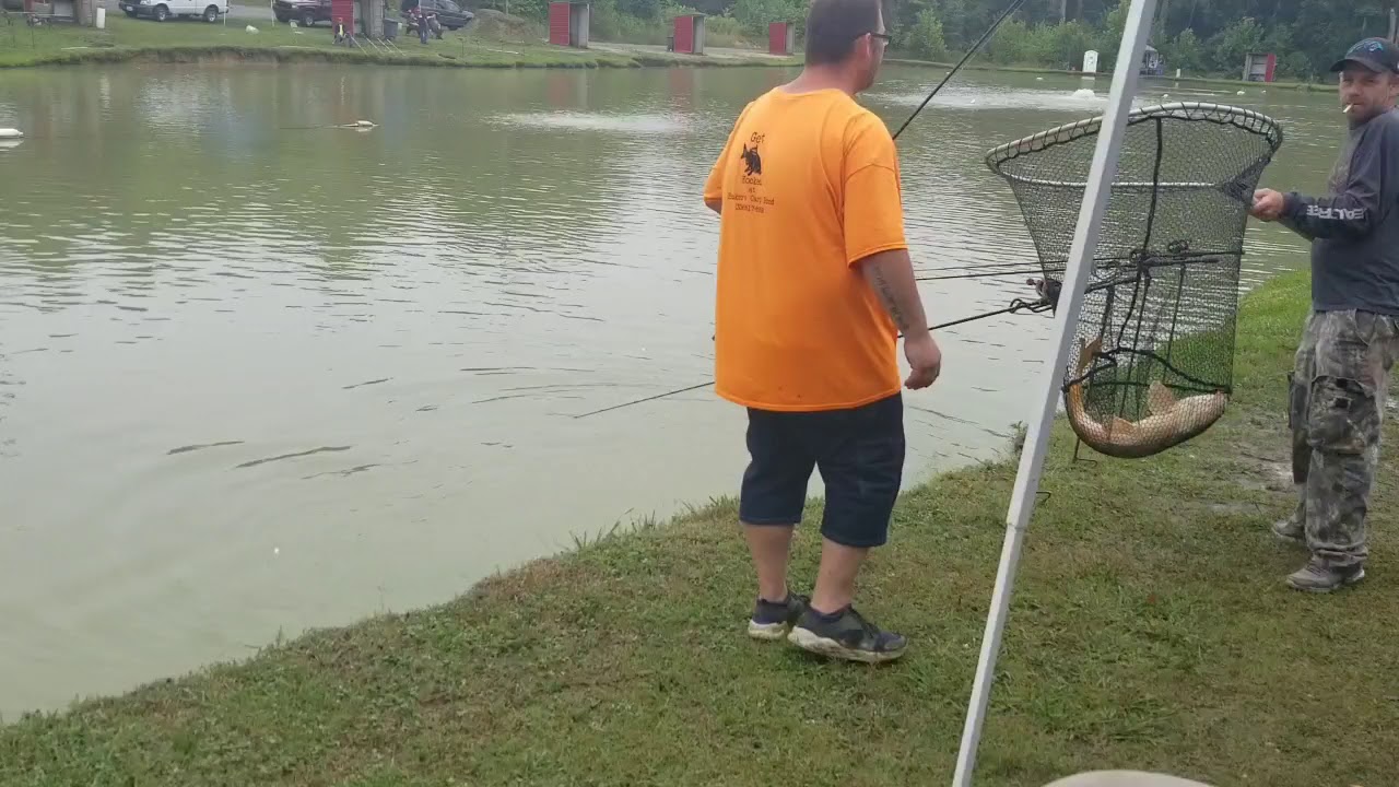 Carp fishing 2 17 ponds