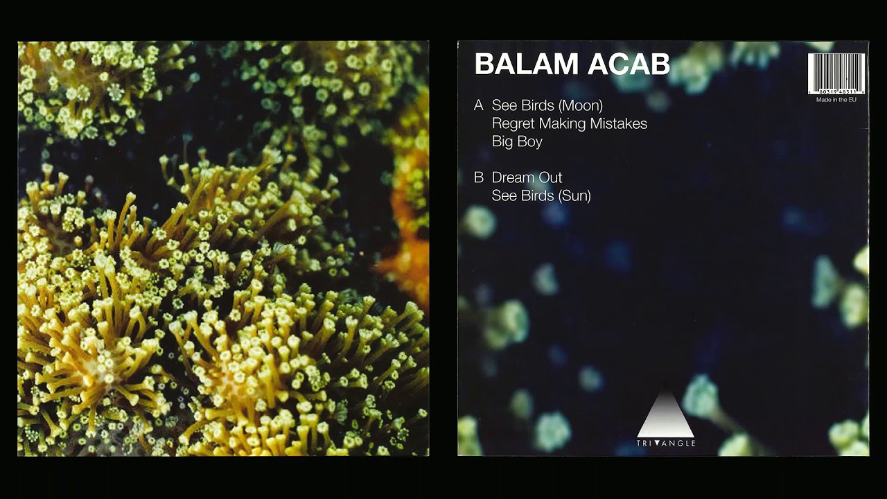Balam Acab - See Birds 12