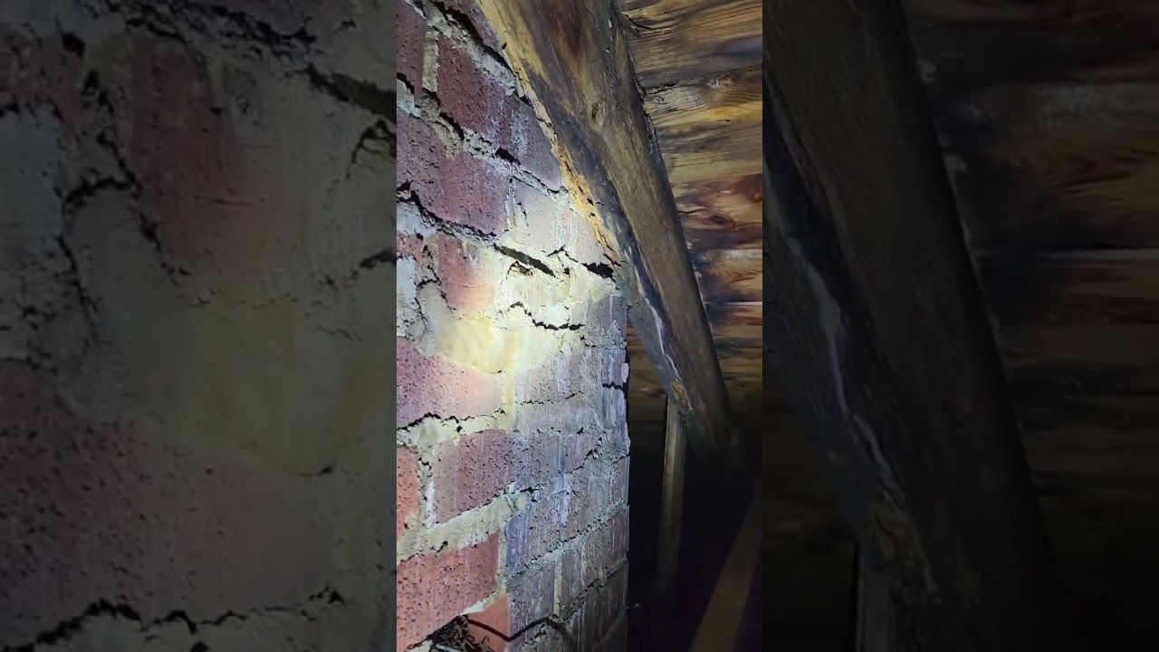 Fort Mill Home Inspector Termites in the Attic