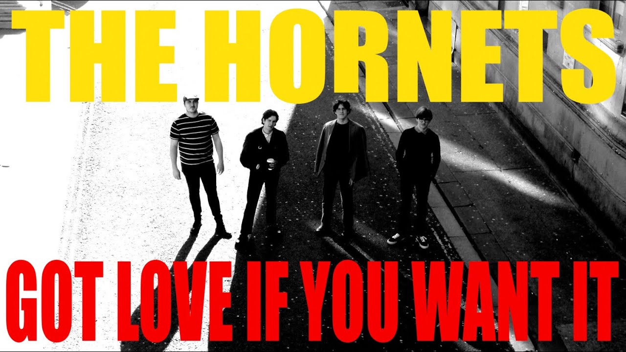 The Hornets - Got Love If You Want It (Live At Mr Wolfs, Bristol)