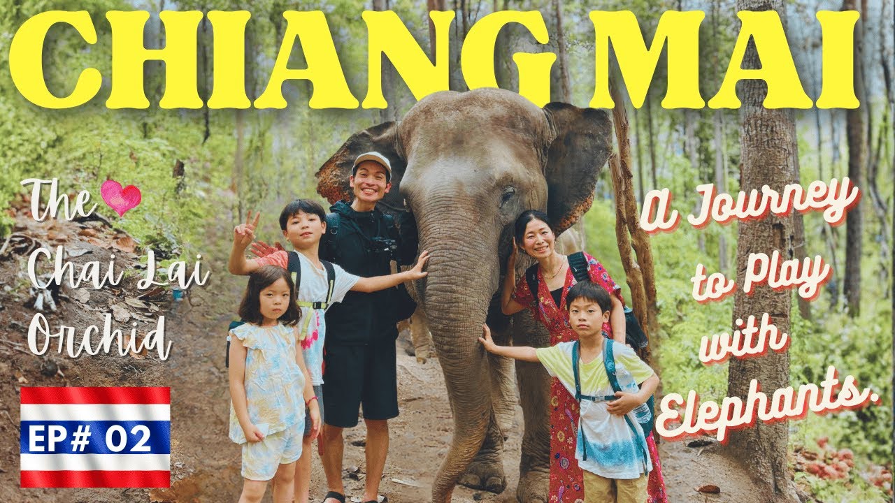 【🇹🇭チェンマイ・象と泊まれる憧れの宿 