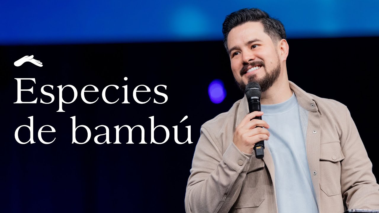 Especies de bamb&uacute; - Pastor Cashito Luna #D&iacute;aDelSe&ntilde;or