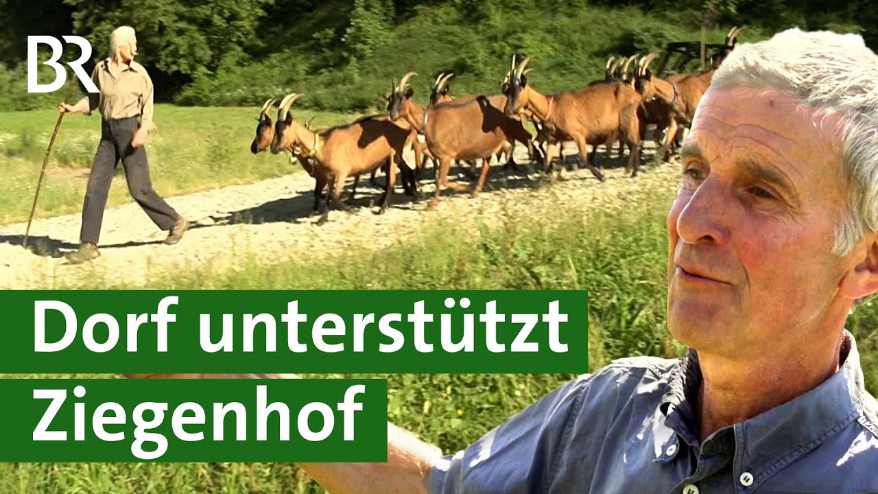 Gemeinsam sind wir stark! Ganzes Dorf betreibt Bauernhof, Dorfladen & Wirtshaus | Unser Land | BR