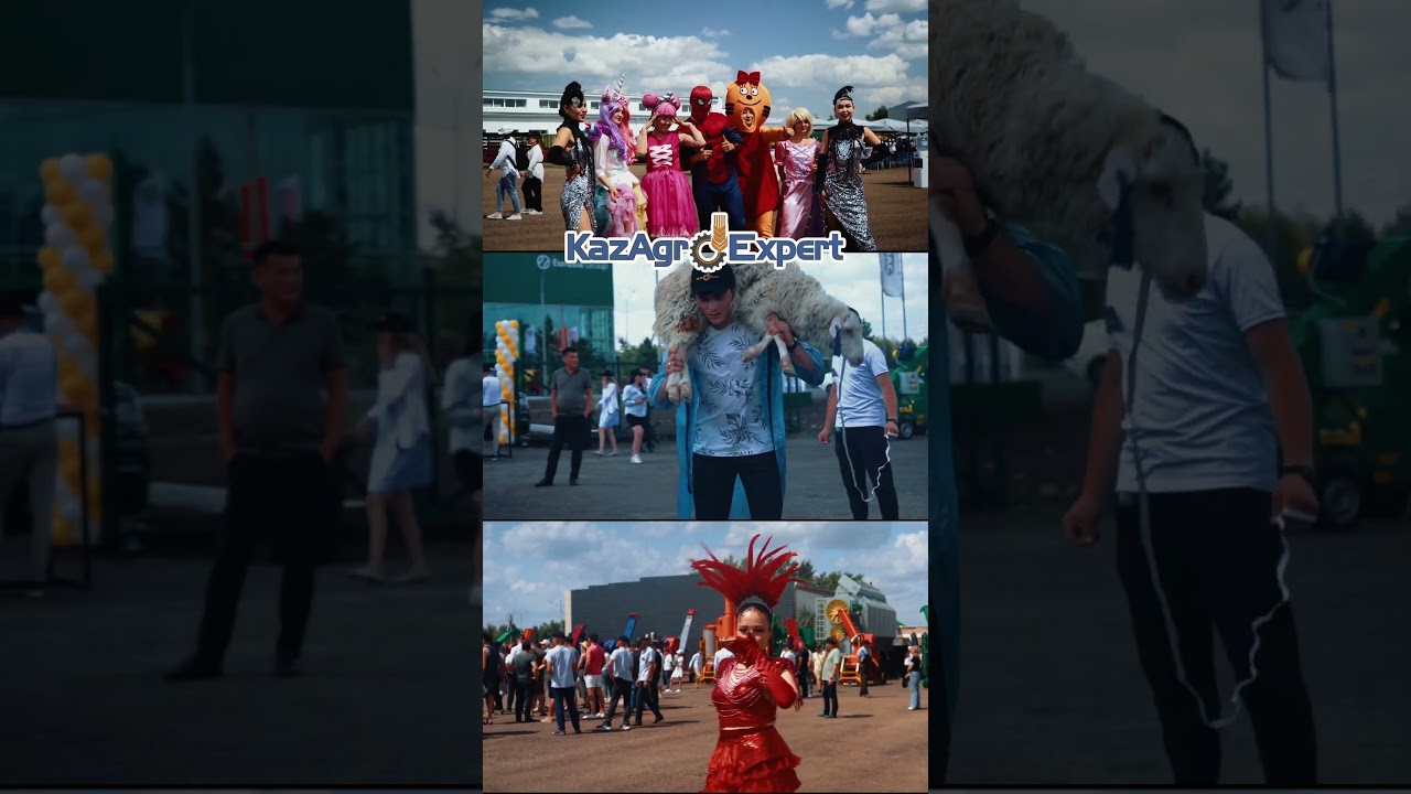 ҮЛКЕН САБАНТОЙ 2023 KAZAGROEXPERT #КазАгроЭксперт #Viral #shorts