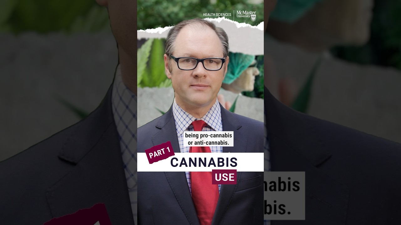 Cannabis Use Pt. 1 #cannabisnews #cannabisdaily #mcmasteruniversity #shorts #research
