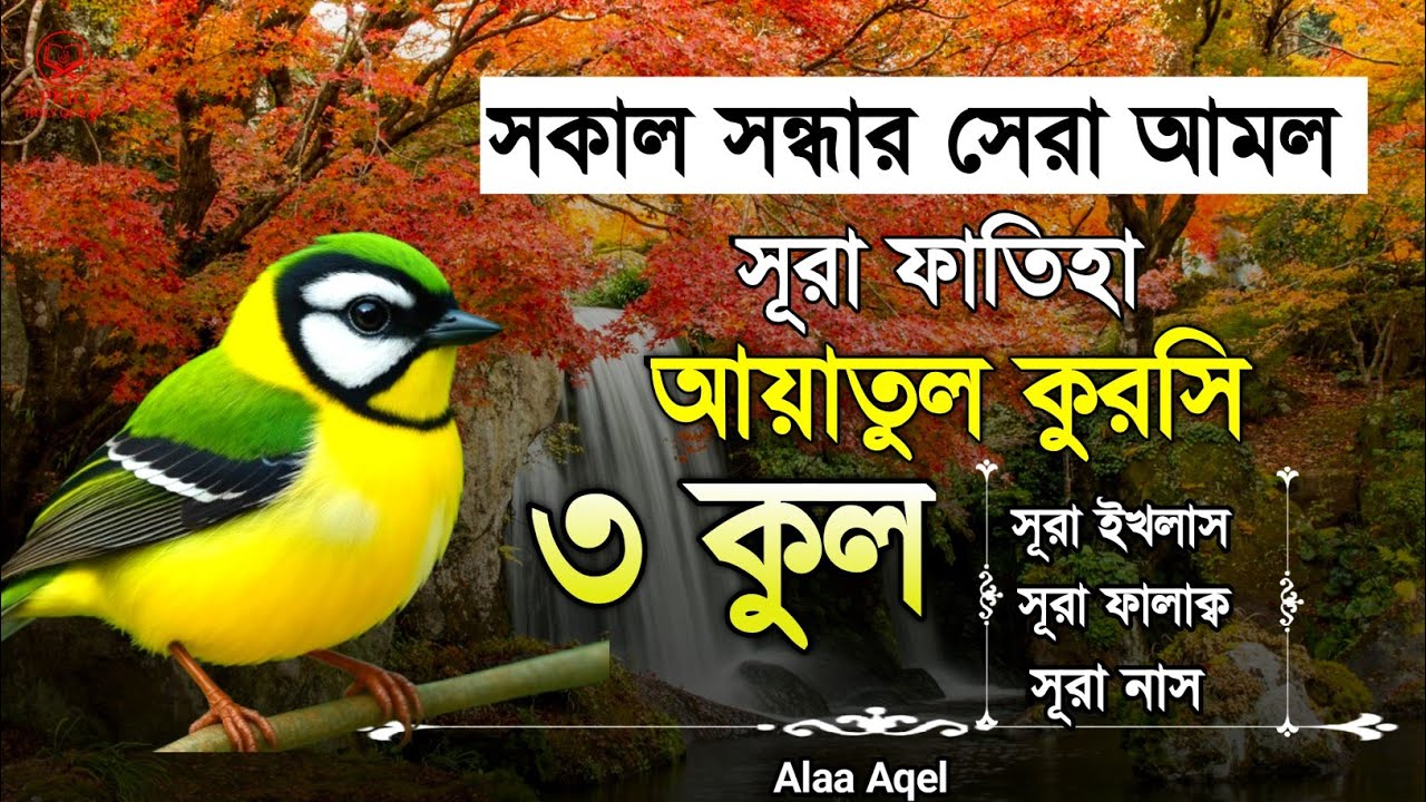 সূরা ফাতিহা আয়াতুল কুরসি ৩কুল | Surah Fatiha Ayatul kursi 3qul | quran recitation | Ayatul kursi 
