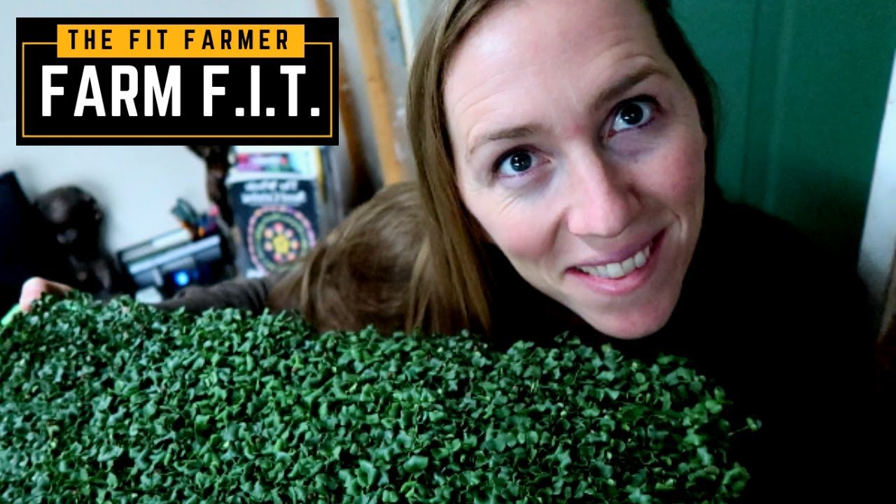 How to use and preserve MICROGREENS!!