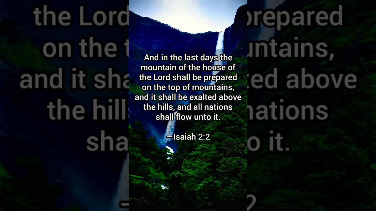 In the Last Days .. 