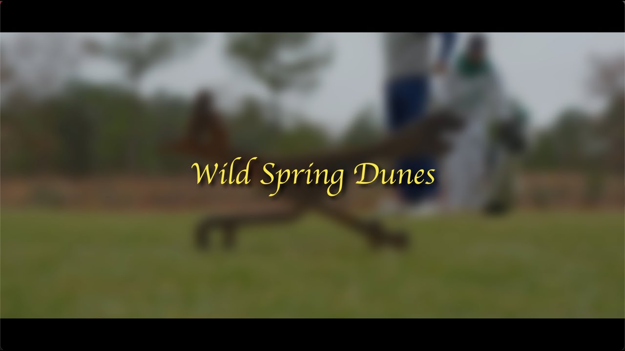 A First Look at Wild Spring Dunes | Preview Play Experience