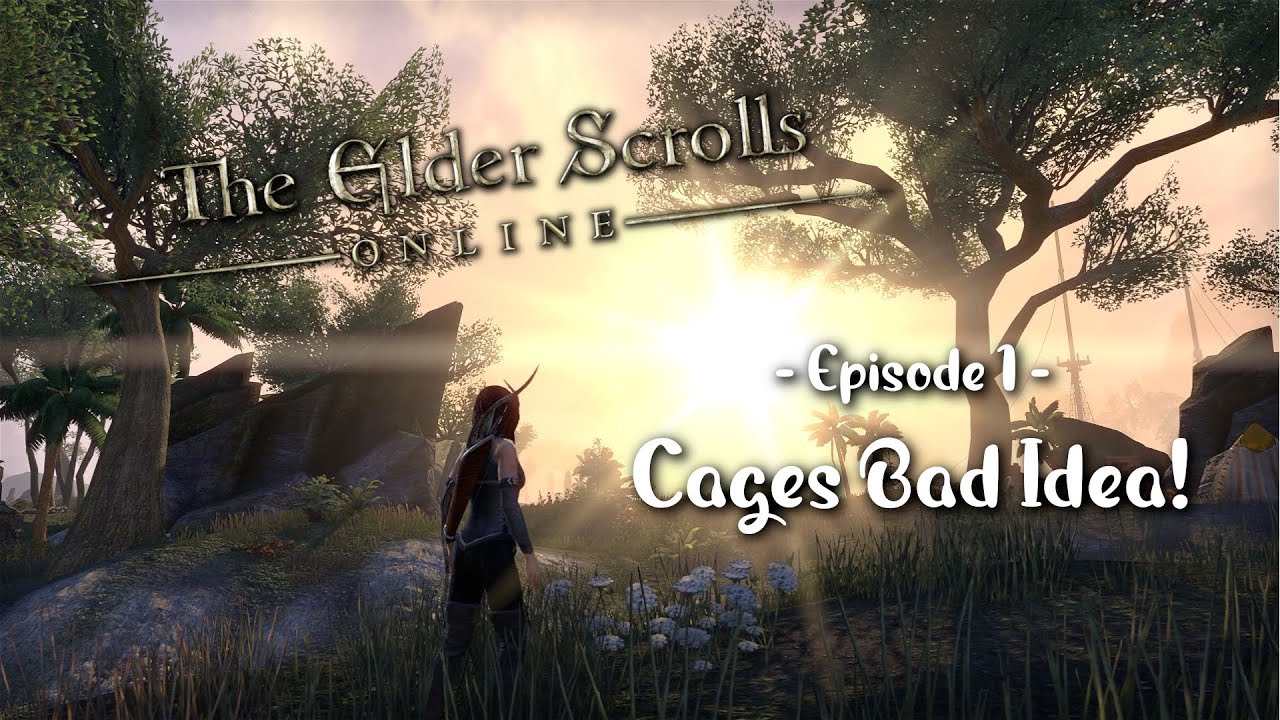 Cages, Bad Idea! - Episode 01 | Aredys the Warden | Elder Scrolls Online #letsplay