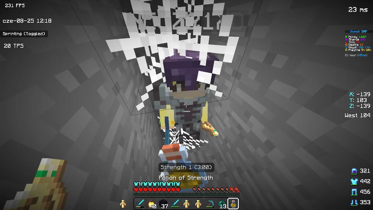 Polskie "Nemosy" vs Zagraniczni gracze DonutSMP