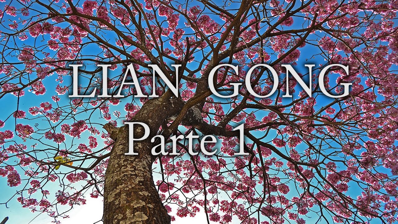 LIAN GONG PARTE 1